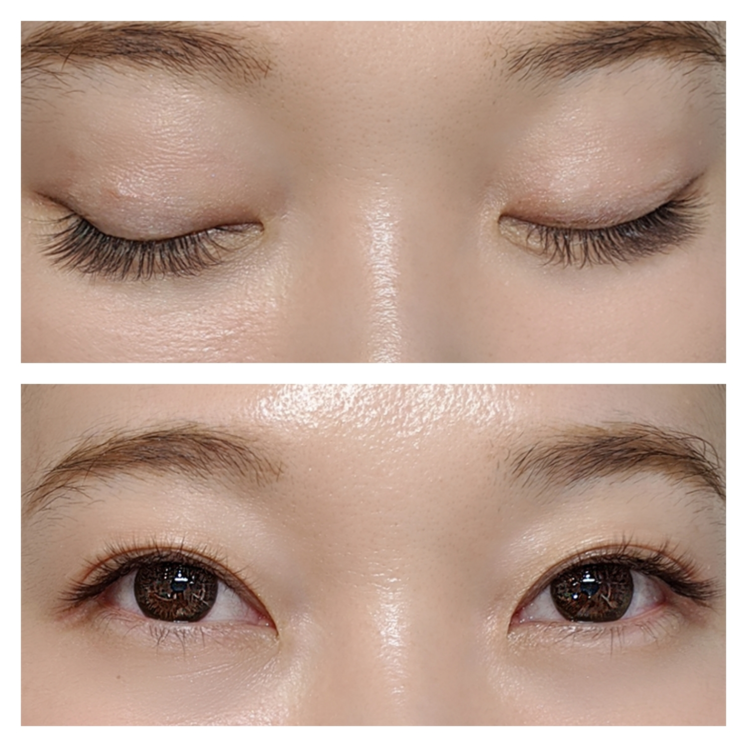 アイラッシュギャラリー