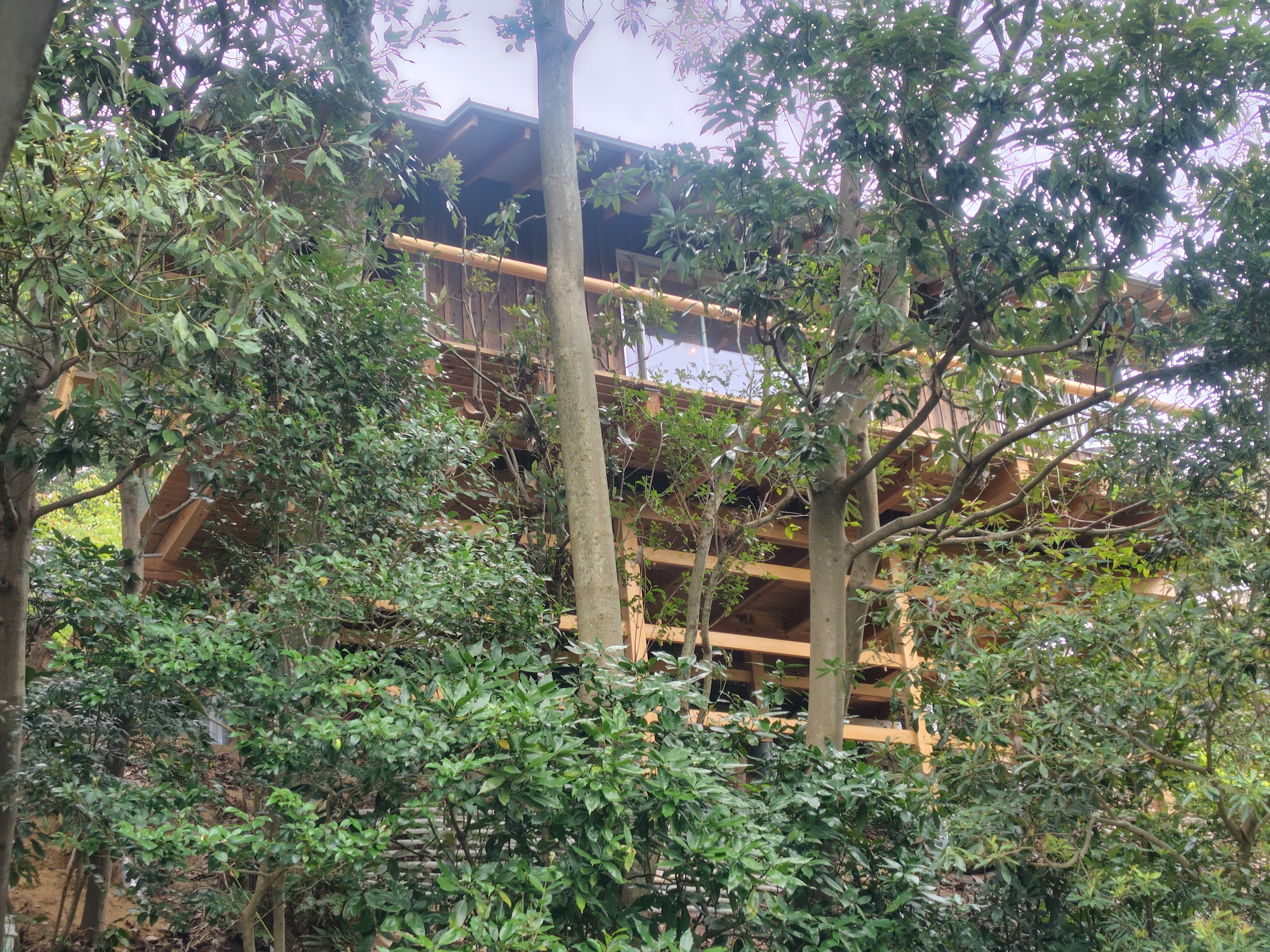 高山町の家-はなれ　完成見学会10月4日－5日